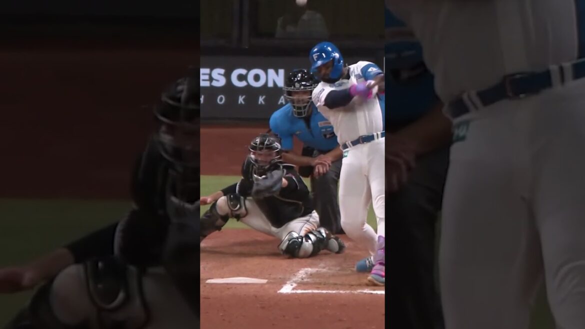 #水谷瞬 が自身初のサヨナラ打 #有薗直輝 #レイエス　8月13日