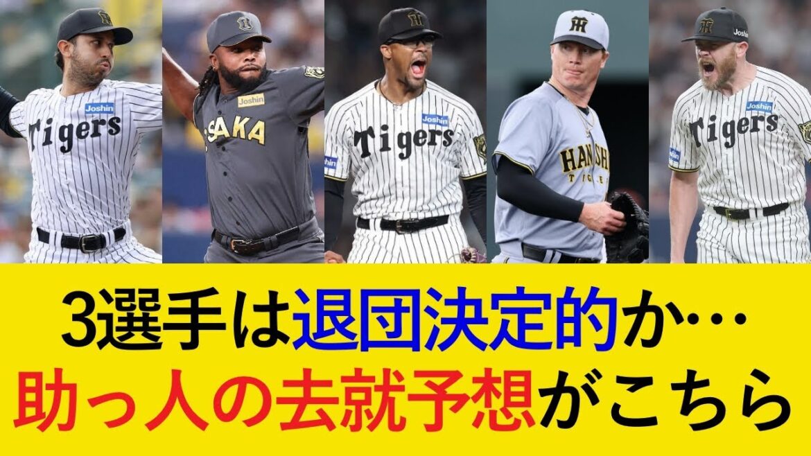 【3人は退団決定的か...】助っ人7選手の去就に関する予想がこちら！【阪神タイガース】