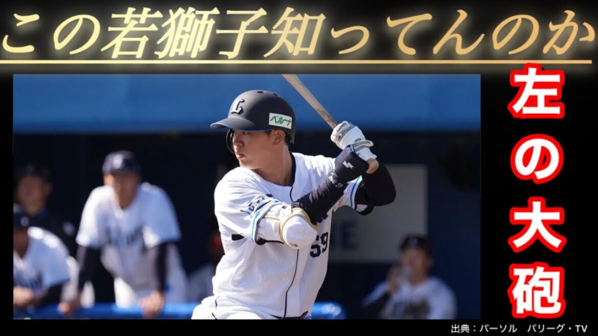 【若獅子】このバッター、凄いぞ… 【若獅子】このバッター、凄いぞ…