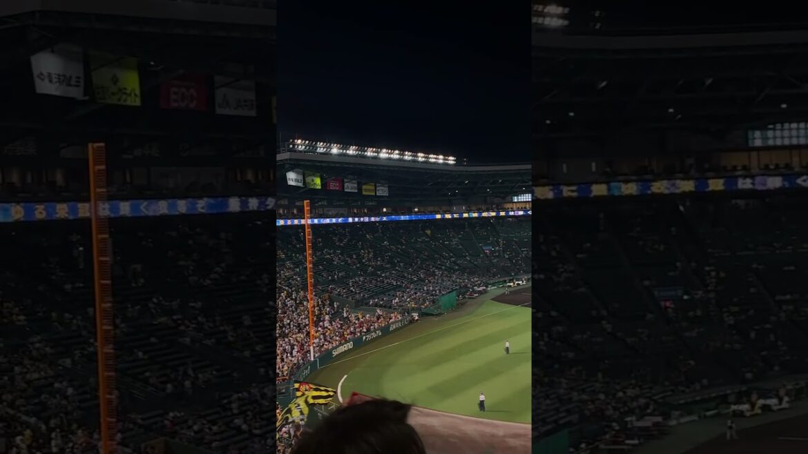 2024.7.31 6連勝で巨人と1.5ゲーム差 勝利の六甲おろし