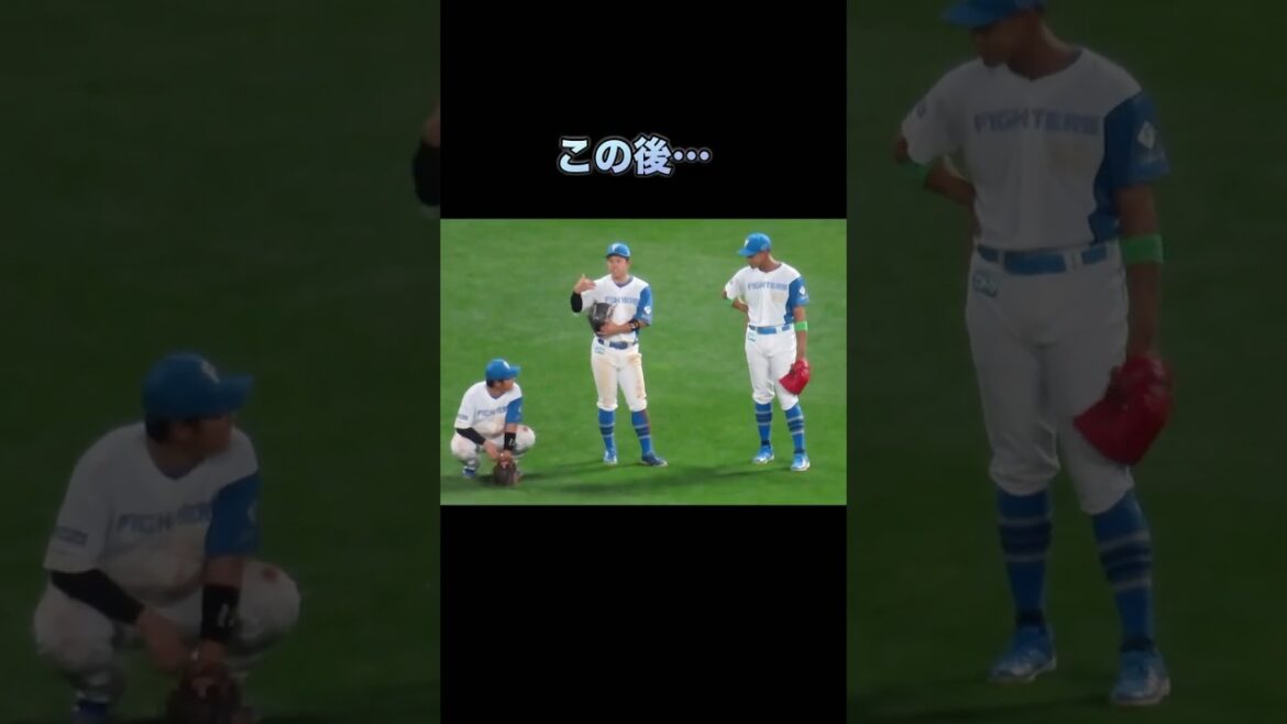 万波選手のファンサが✨好き🤭会話弾んでるーw#万波選手#吉田選手＃今川選手