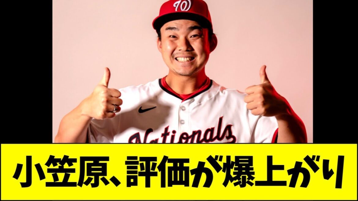 小笠原慎之介の評価が爆上がり 小笠原慎之介の評価が爆上がり