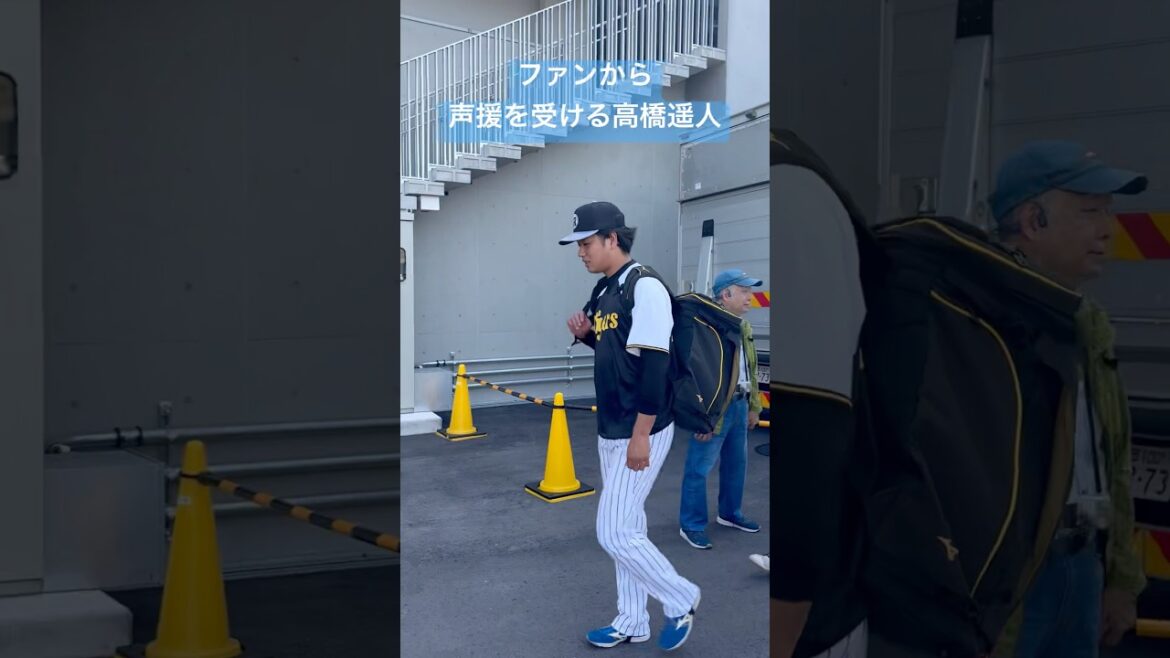 ファンから声援を受ける 高橋遥人#shorts