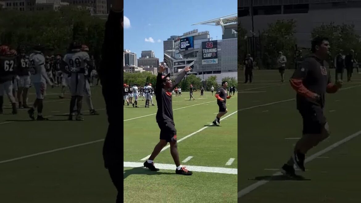 Bengals DBs clamp down on Tee Higgins and defense called for holding