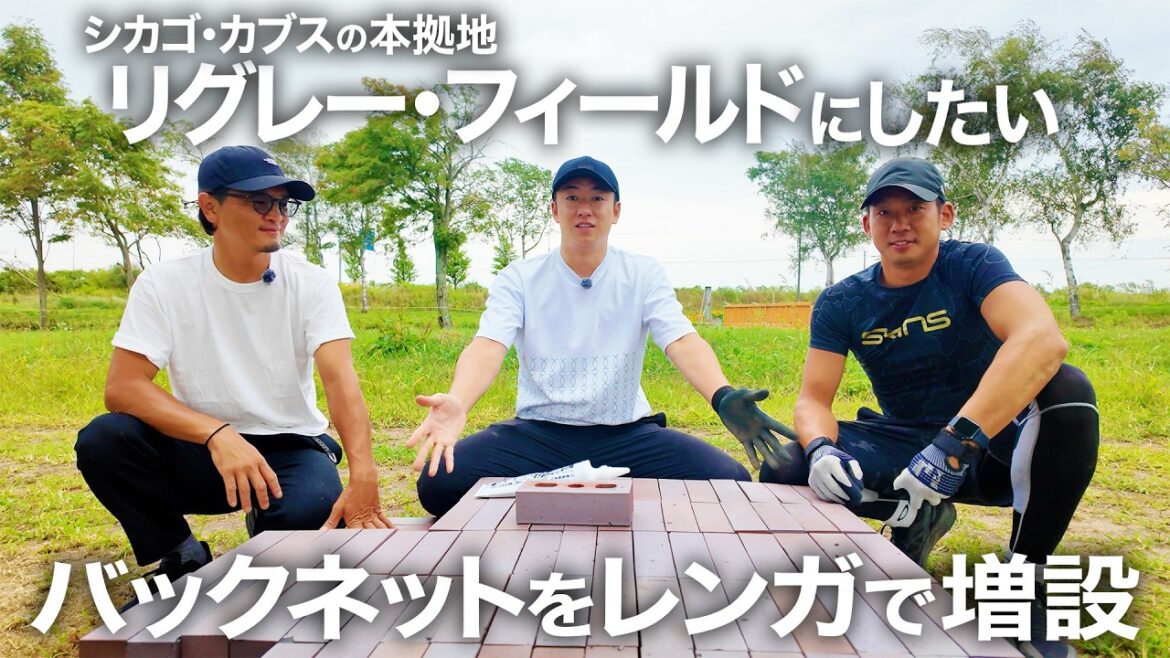 目指せリグレー・フィールド！ バックネットをレンガで増設