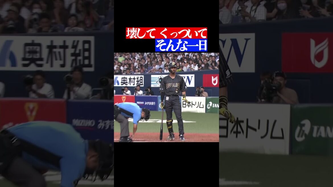 めりこんではさまって #shorts