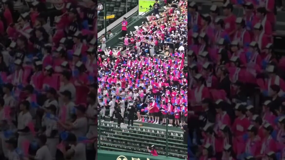 甲子園応援　叡明のアルプス席から流れた曲が話題！　埼玉の魔曲・サスケ　#高校野球 #叡明 #高校野球応援 #甲子園 #吹奏楽  #野球 #高校生 #応援団