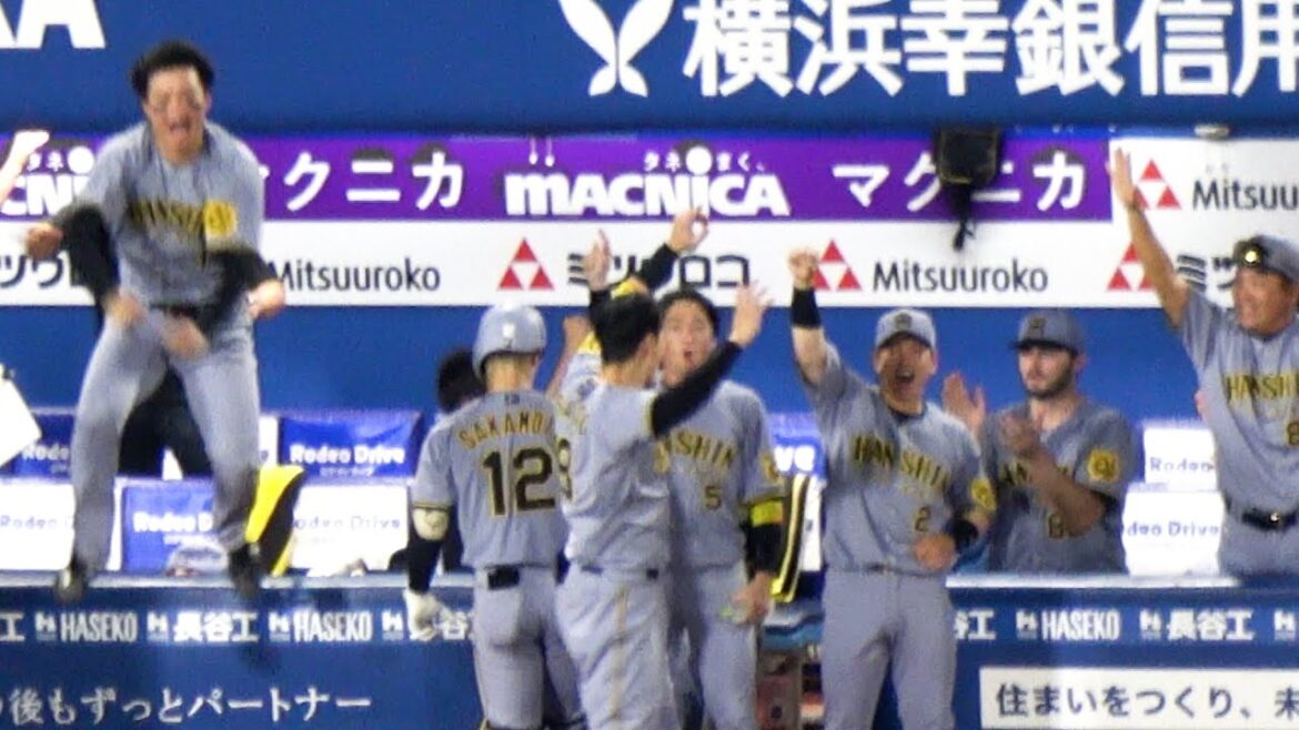 2025 佐藤輝明がチャンスで犠飛を打つも悔しがるなか大山悠輔が逆転2ランを放った直後のベンチ 現地映像 【阪神タイガース】