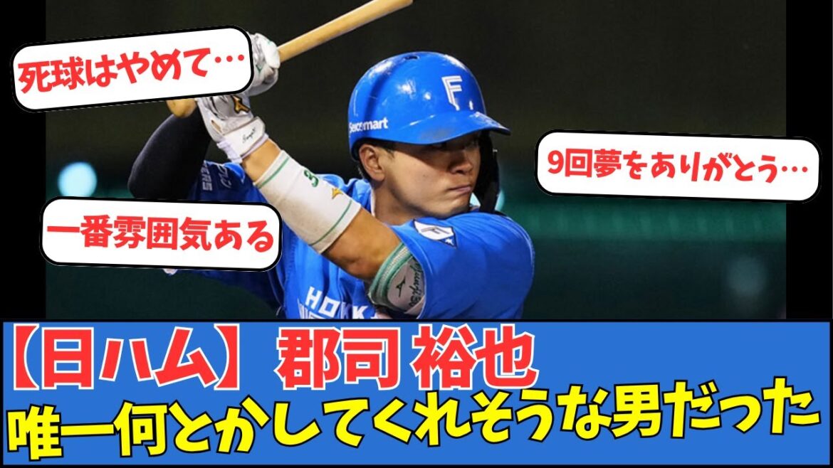 【日ハム】郡司裕也、唯一何とかしてくれそうな男だった