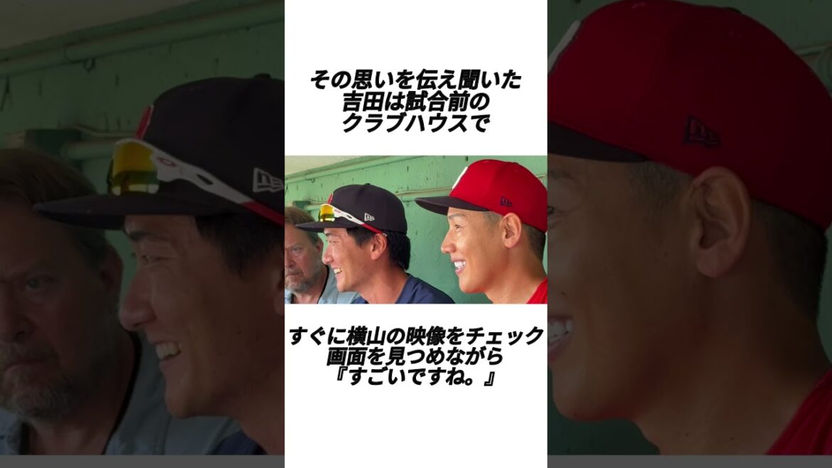 県立岐阜商業横山と吉田正尚  #shorts #新庄剛志 #プロ野球 #野球