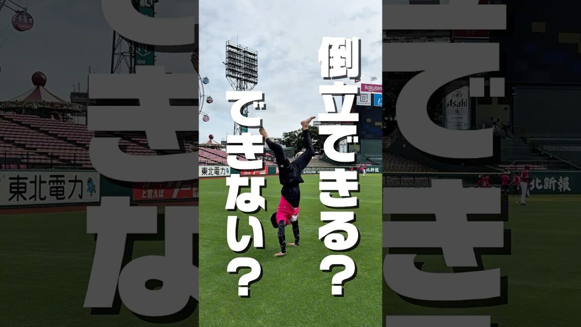【みんなは出来る?🙋🏻♂️】宗山塁選手は(自称)倒立の達人です。 【みんなは出来る?🙋🏻♂️】宗山塁選手は(自称)倒立の達人です。