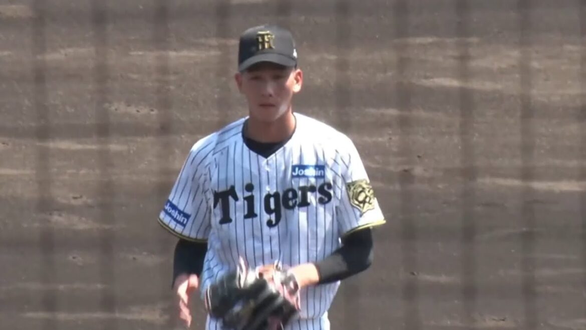 【2025ファーム】今朝丸裕喜 奪三振集【阪神タイガース】