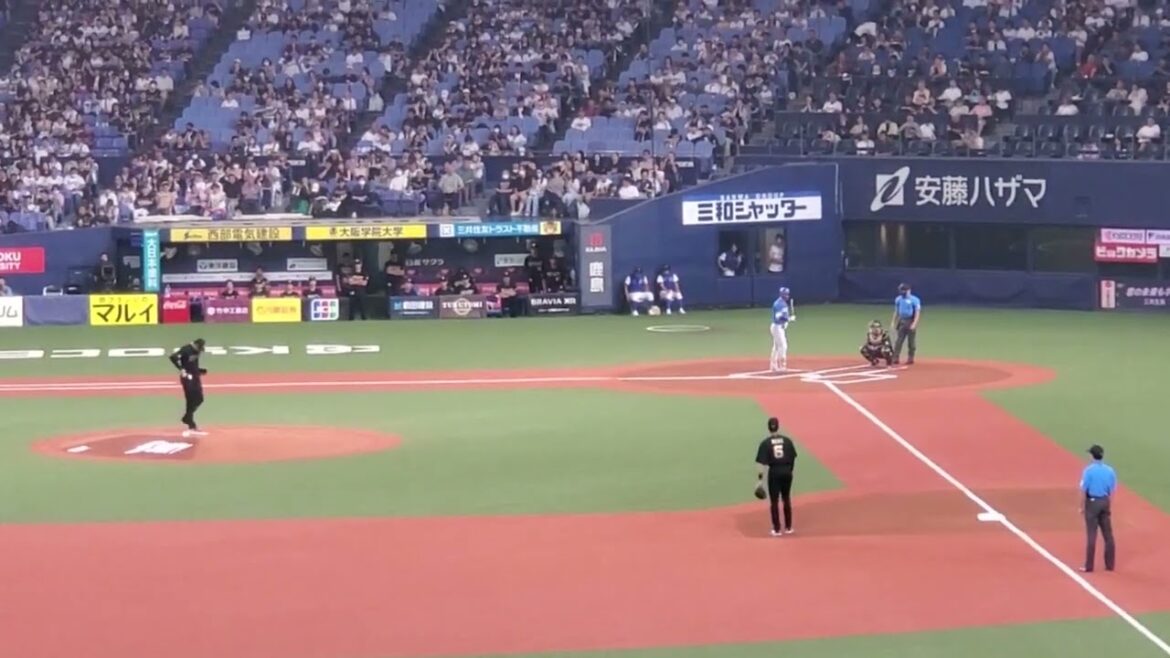 20240818　久しぶりのｱｻﾏｯｸｽ♪【淺間大基 応援歌】　1回表　北海道日本ﾊﾑﾌｧｲﾀｰｽﾞ@京ｾﾗﾄﾞｰﾑ大阪･ﾚﾌﾄ外野下段 Bs夏の陣2024　