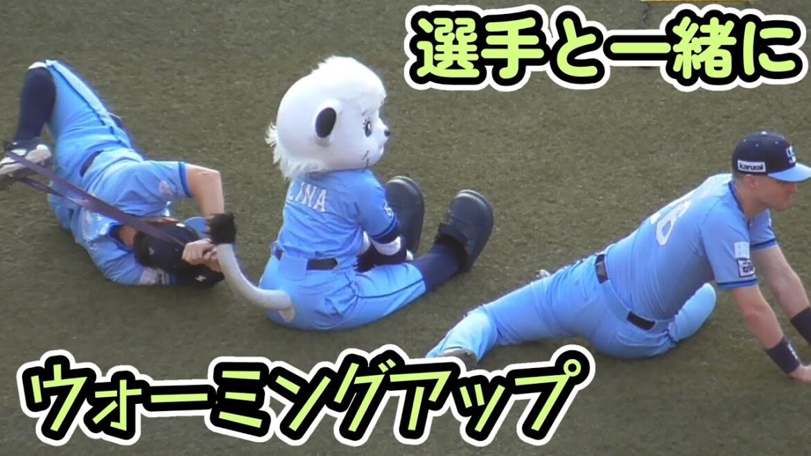 ライナも選手達と一緒にウォーミングアップ！（埼玉西武ライオンズ 2025/8/23）