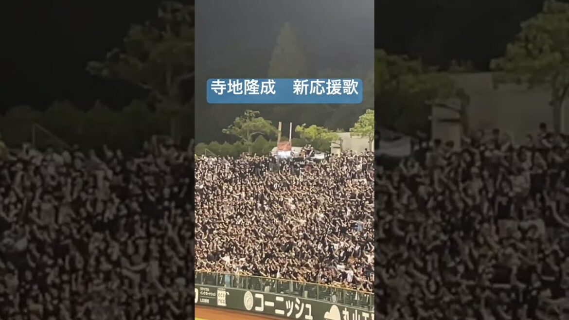 千葉ロッテマリーンズ　寺地隆成新応援歌