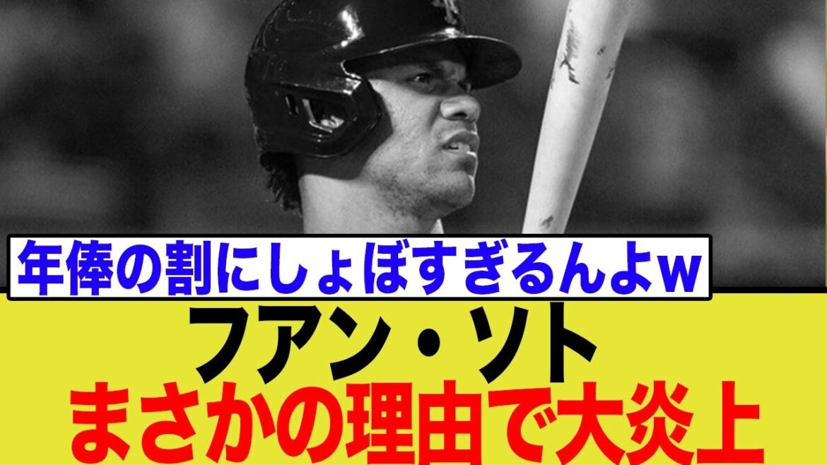 1147億円フアン・ソトさん、成績出すもとんでもない理由で大炎上してしまうw