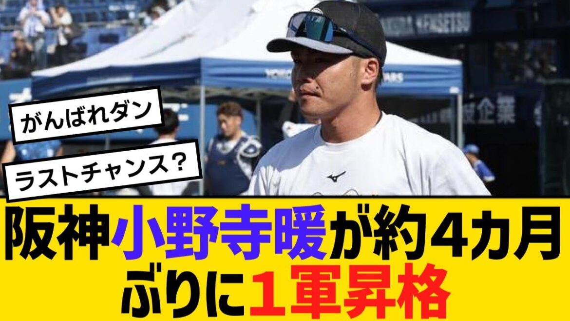 阪神・小野寺暖が約４カ月ぶりに１軍昇格【野球】【反応】【考察】