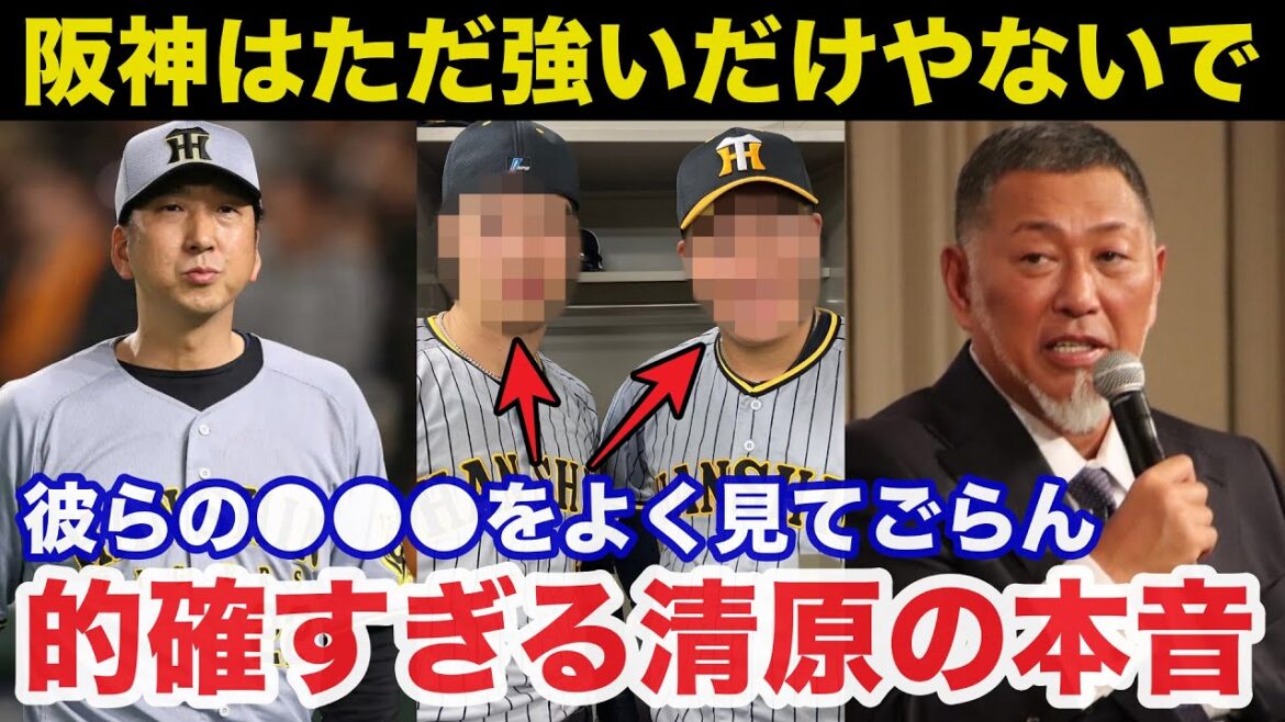 清原和博「阪神はただ強いだけやないで」強すぎる藤川阪神に清原和博が放ったある本音が的確すぎると話題に【阪神タイガース/プロ野球】