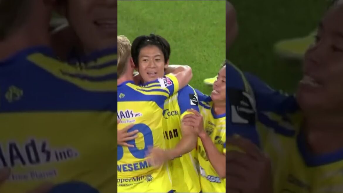 【ベルギー移籍後初ゴール!】#山本理仁 選手の見事な又抜きシュート #シントトロイデン #stvv 【ベルギー移籍後初ゴール!】#山本理仁 選手の見事な又抜きシュート #シントトロイデン #stvv