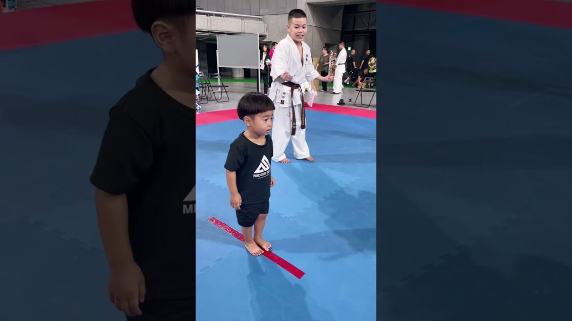 【新極真会】 押忍!! #martialarts #kyokushin #極真空手 #karate #空手 #新極真会 #sports #shinkyokushin #shorts #short 【新極真会】 押忍!! #martialarts #kyokushin #極真空手 #karate #空手 #新極真会 #sports #shinkyokushin #shorts #short