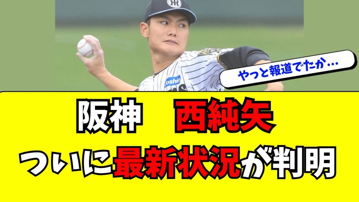 【阪神】西純矢の最新の状況がついに報道された件・・・