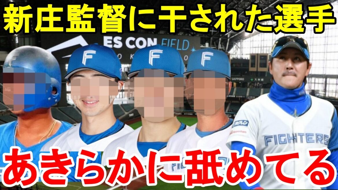 【ブチギレ】新庄監督を激怒させ干された4人の選手たちの末路がヤバすぎた…【プロ野球/日本ハム】