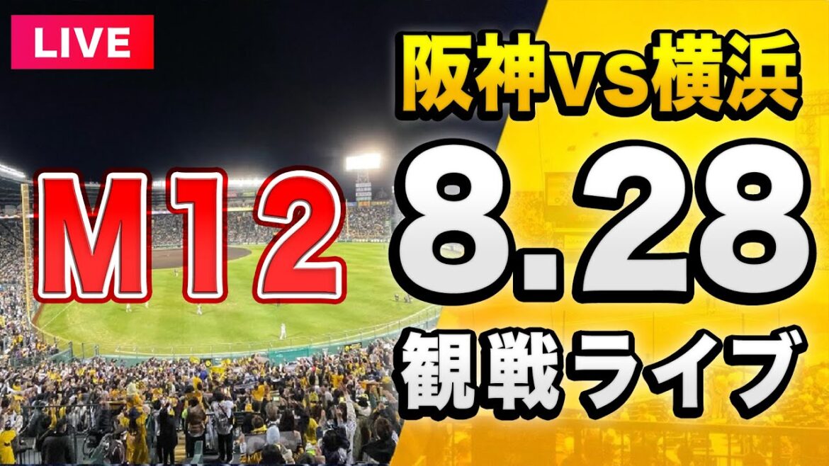 【阪神ライブ配信🔴】8/28 阪神タイガース 対 横浜DeNAベイスターズを一緒に観戦するライブ。【セリーグ】