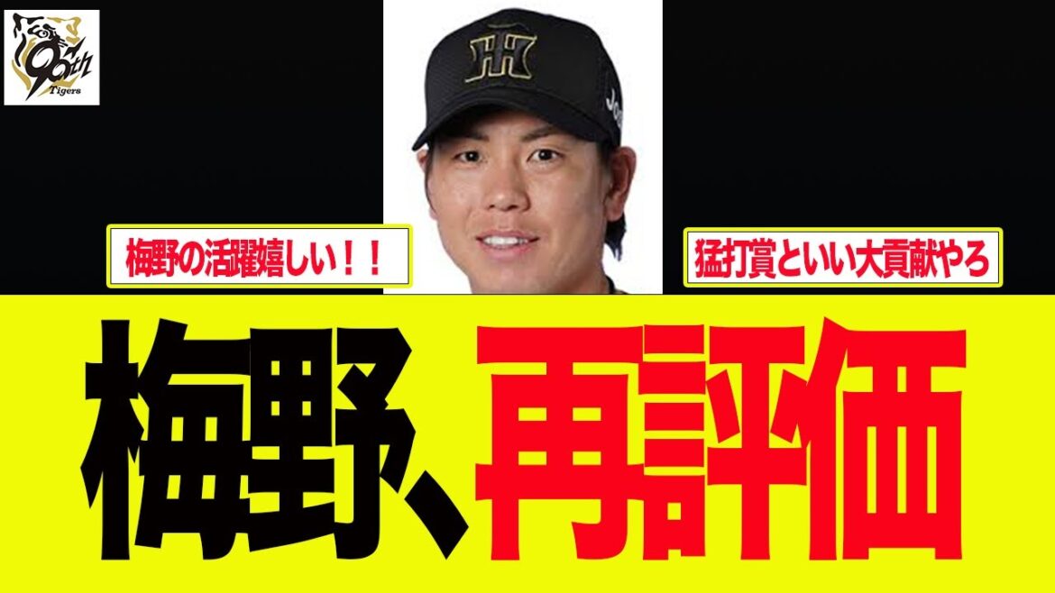 【阪神】梅野が攻守に大活躍で再評価されてる件　プロ野球ファンの反応集