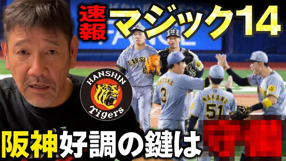 【速報】阪神逆転勝利で貯金今季最多の28!!好調の理由を下柳が解説 【速報】阪神逆転勝利で貯金今季最多の28!!好調の理由を下柳が解説