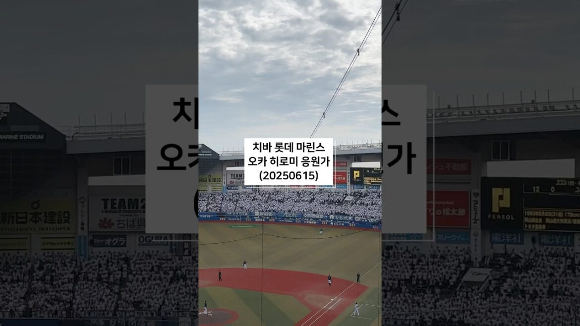 千葉ロッテマリーンズ　岡大海　応援歌