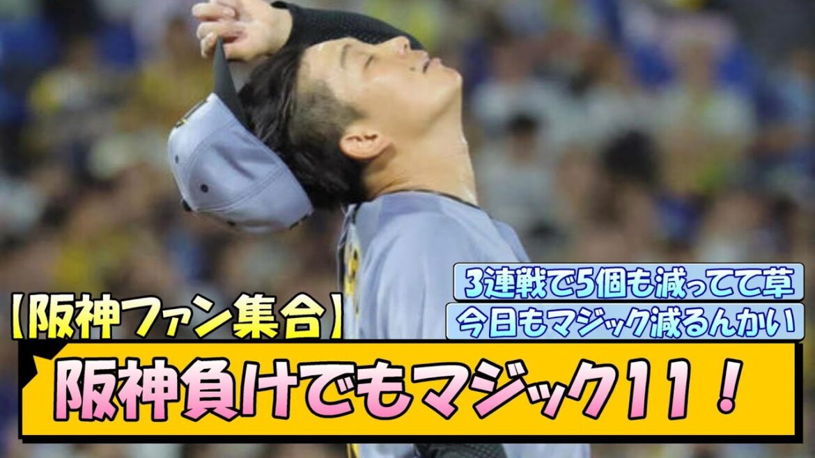 【阪神ファン集合】阪神負けでもマジック11！