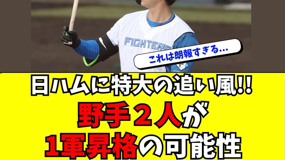 【日本ハム】野手２人に１軍昇格の可能性が急浮上してる件！