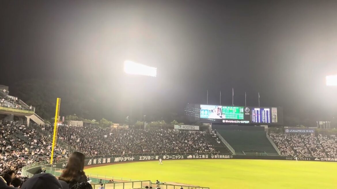 ロッテの応援　#ほっともっとフィールド神戸 #千葉ロッテマリーンズ