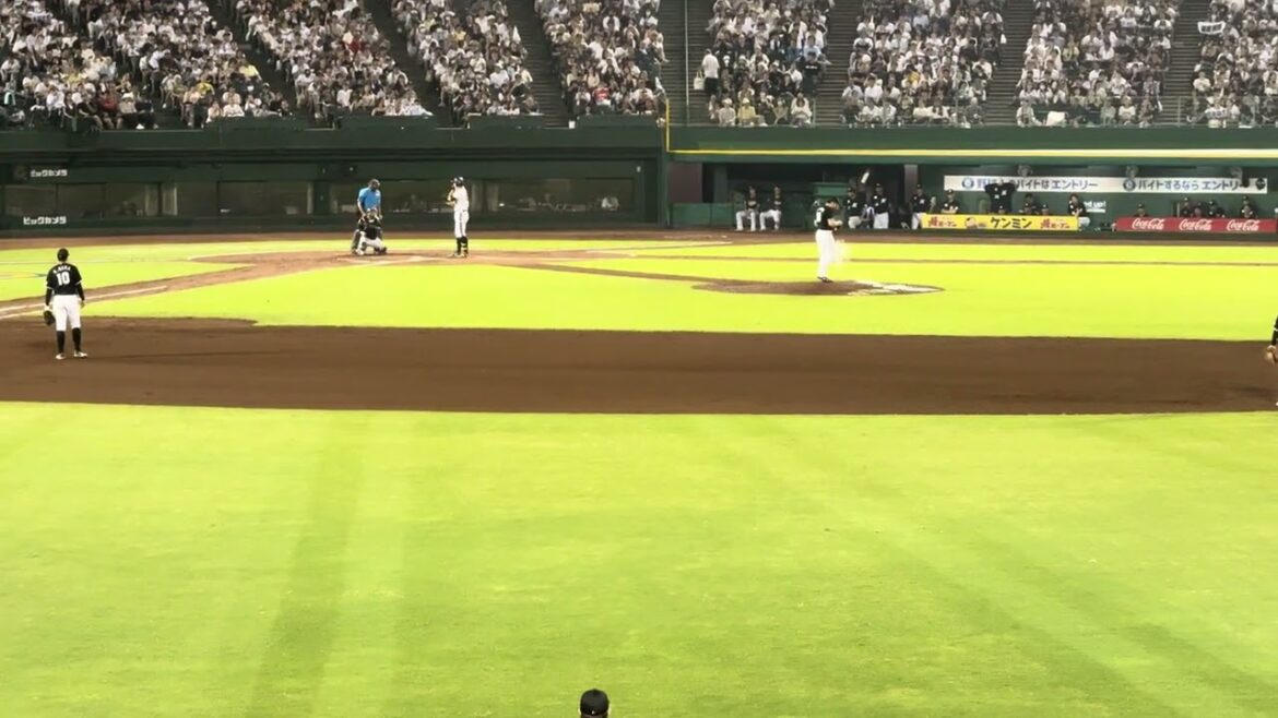 オリックス・バファローズ 杉本 裕太郎 応援歌 (藤井康雄)