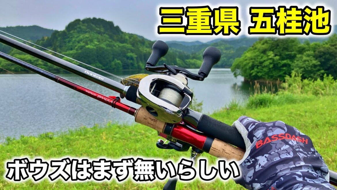 三重県の五桂池バス釣り。ボウズが無いと言われている大きい野池っぽいポイントです 三重県の五桂池バス釣り。ボウズが無いと言われている大きい野池っぽいポイントです