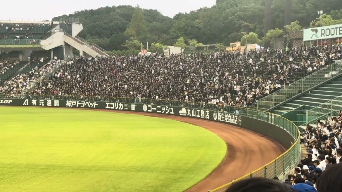 千葉ロッテマリーンズ 寺地 隆成 応援歌