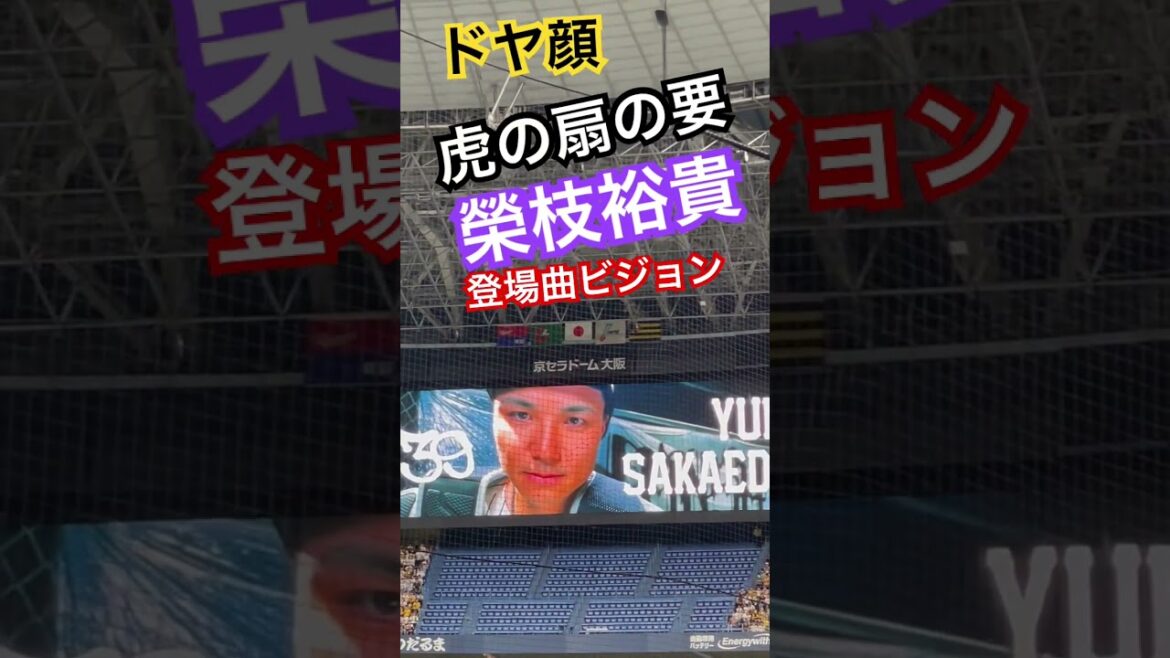 #榮枝裕貴 #阪神タイガース #hanshintigers #登場曲 #阪神応援 #tigers #阪神 #捕手 #キャッチャー