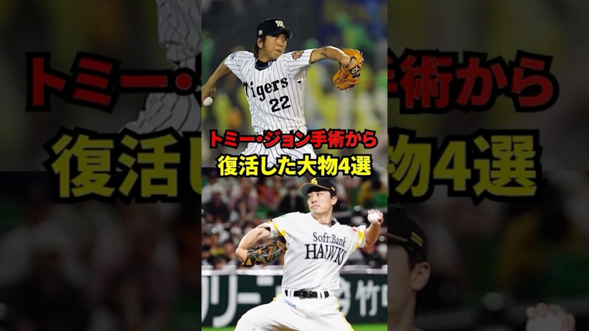 トミー・ジョン手術から復活した大物4選！