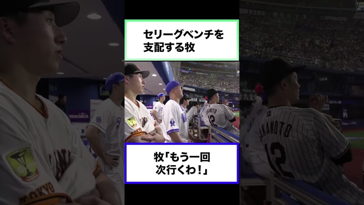 【ベンチカメラ】セ・リーグベンチを支配する牧秀悟【オールスター】 #オールスター #プロ野球 ＃牧秀悟