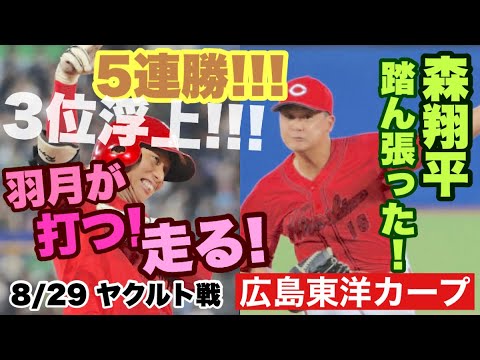 【広島東洋カープ】8/29 ヤクルト戦 森の好投、羽月の好走塁、モンテロの好守などで快勝! 5連勝で3位浮上!!! 【森翔平】【坂倉将吾】【羽月隆太郎】【エレフリス・モンテロ】【新井貴浩】【カープ】 【広島東洋カープ】8/29 ヤクルト戦 森の好投、羽月の好走塁、モンテロの好守などで快勝! 5連勝で3位浮上!!! 【森翔平】【坂倉将吾】【羽月隆太郎】【エレフリス・モンテロ】【新井貴浩】【カープ】