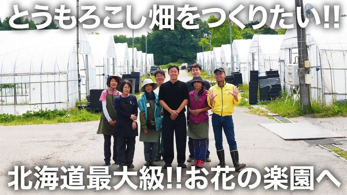 とうもろこし畑をつくりたい!!  北海道最大級の花の楽園に行ってみたらスゴ過ぎた!!