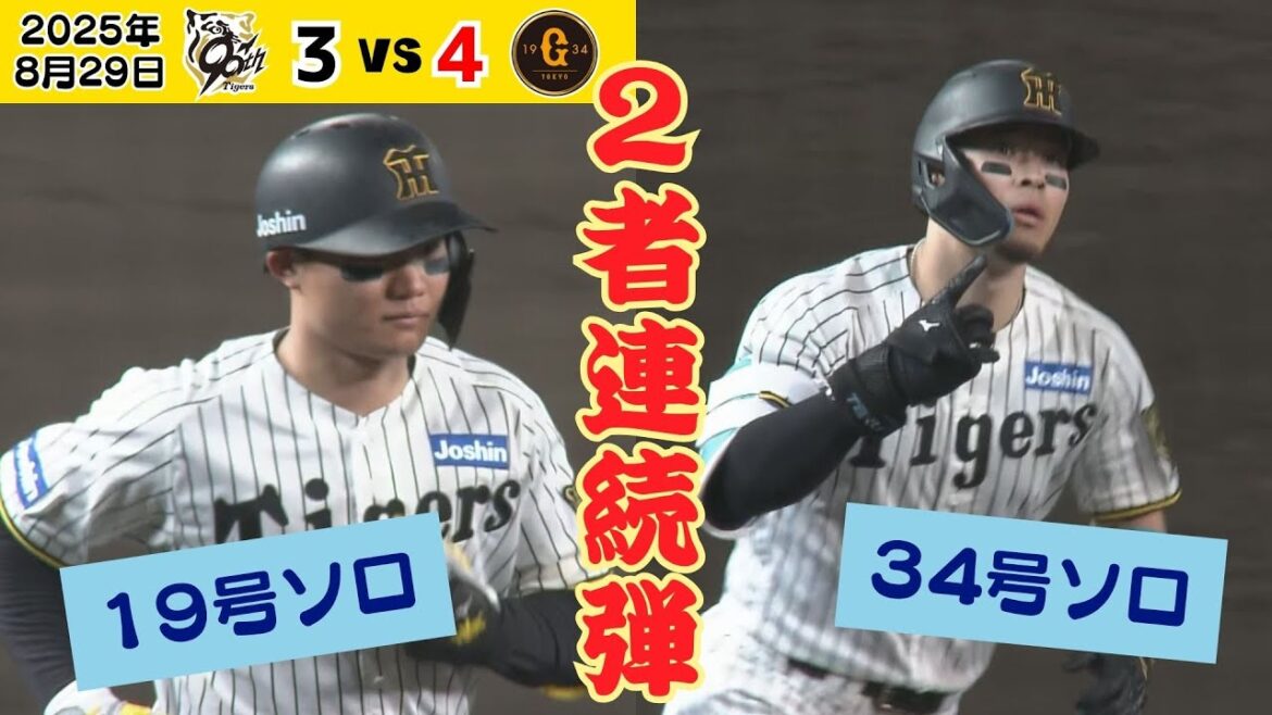 【速報！森下＆サトテル 2者連続アーチ！ 】アイブラック兄弟が久々のアベック！しかも2者連続！サトテルは34号！（2025年8月29日 阪神ー巨人）  #サンテレビボックス席