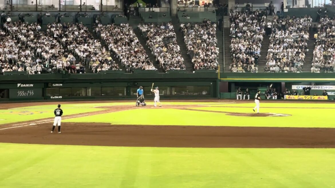 オリックス・バファローズ 頓宮 裕真 応援歌 (ニール)