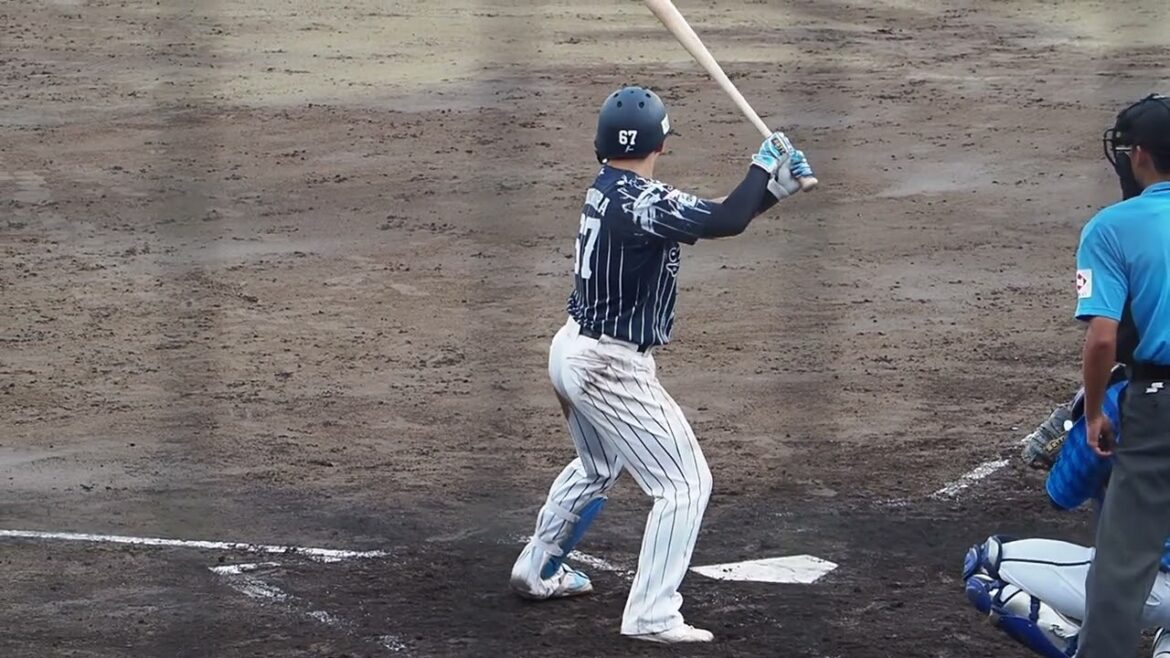 2024.09.01 埼玉西武-横浜DeNA #野村大樹 打席シーン (カーミニーク)