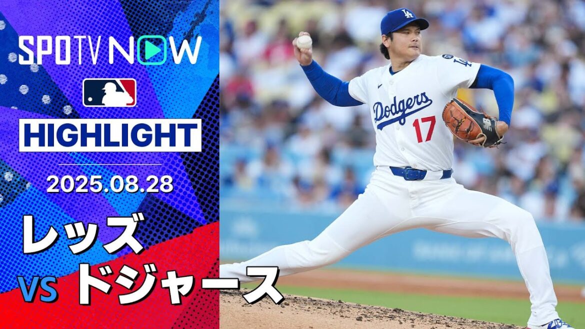 【“749日ぶりの勝利”大谷が5回1失点、今季最多9奪三振の快投！レッズは今季初のスイープ負け】レッズvsドジャース 試合ハイライト MLB2025シーズン 8.28