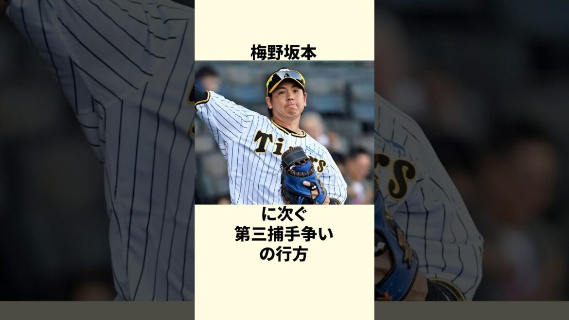 【世代交代はどうなる!?】正捕手候補・中川の2つの課題が判明！第三捕手争いは激化必至か？【阪神タイガース】 #shorts #野球 #プロ野球