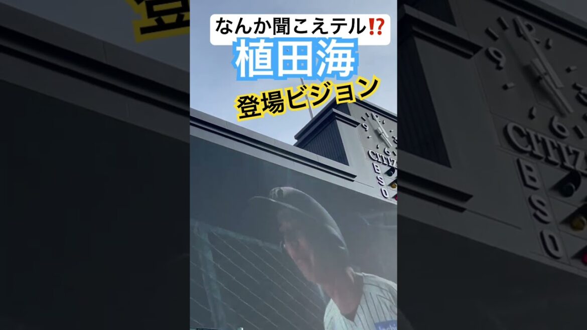 #tigers #植田海 #阪神タイガース #hanshintigers  #阪神 #阪神応援  #球場ビジョン  #タイガース  #野球場 #阪神甲子園球場 #猛虎 #国分太一