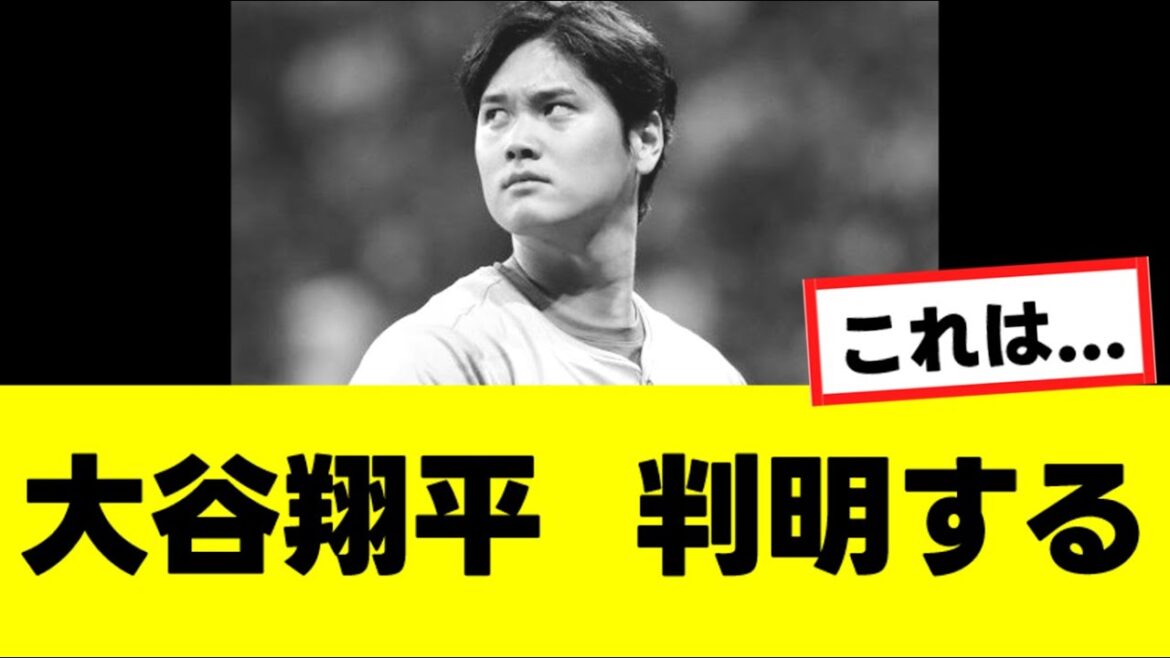 【悲報】大谷翔平の金銭トラブル、ここにきてとんでもない事実が判明する...『反応集』
