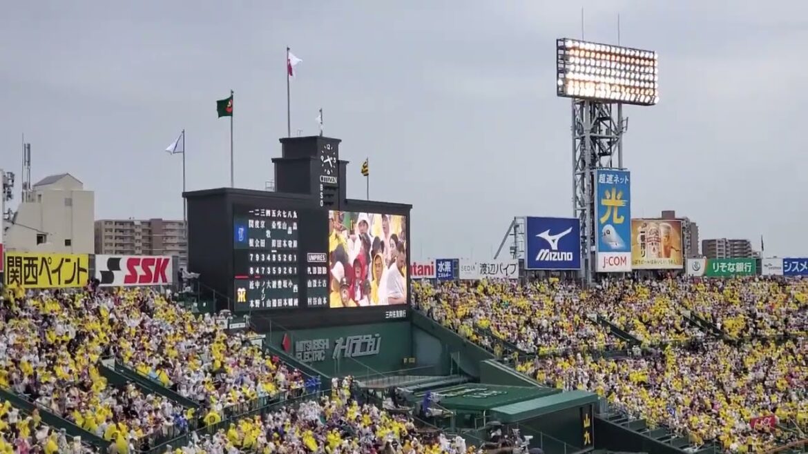 20240622　森原康平が登板　9回ｳﾗ@阪神甲子園球場･ﾚﾌﾄ外野
