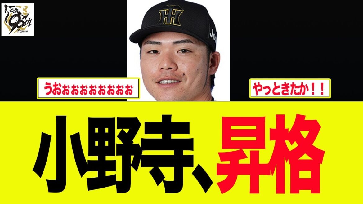 【阪神】小野寺暖昇格へ　プロ野球ファンの反応集